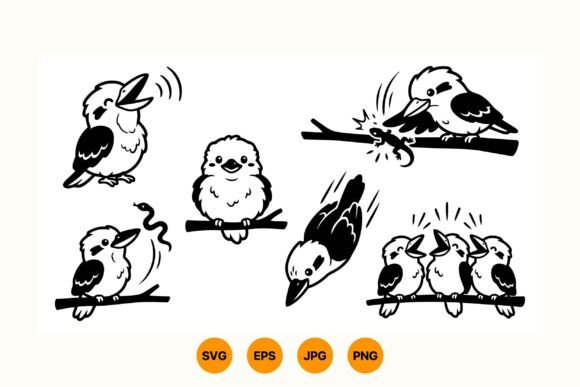 Cute Bird Clipart Collection Review