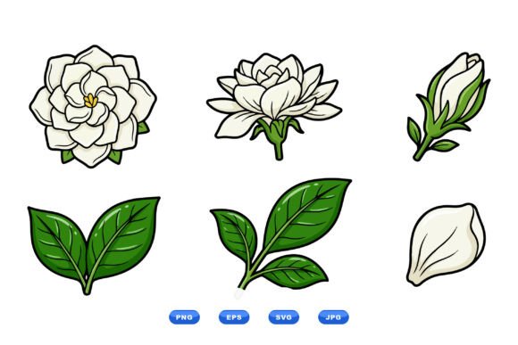 Elegant Gardenia Floral Clipart Review